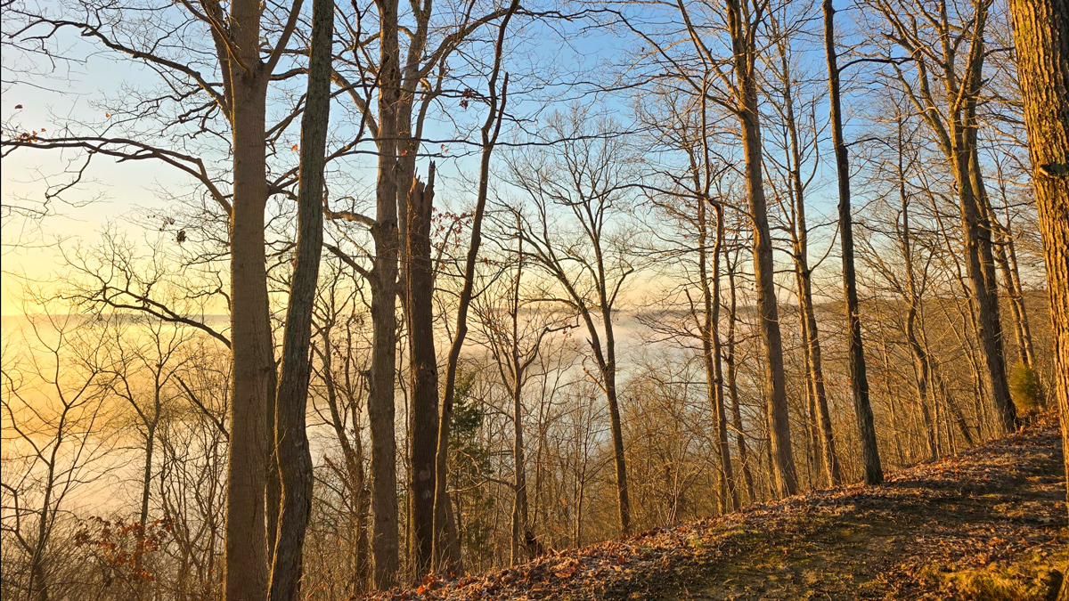 A sunny view of the Ohio River from Buzzard's Roost