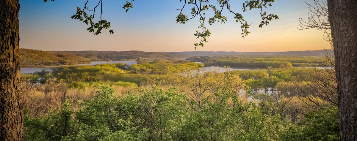 Spring leaves shine in morning light at the confluence of two rivers
