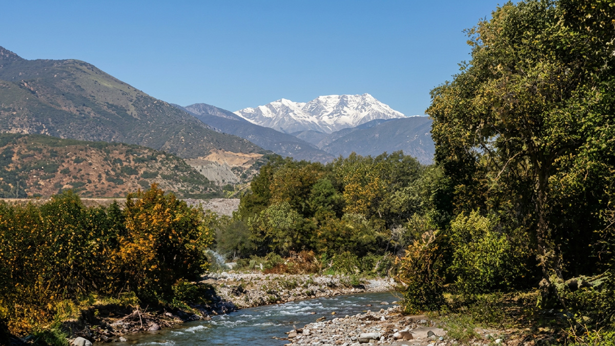 A mountain stream flows from Pikes Peak