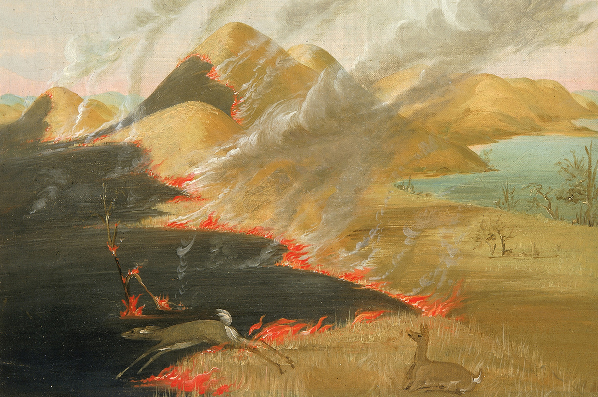A deer jumps over the flames on a hilly prairie