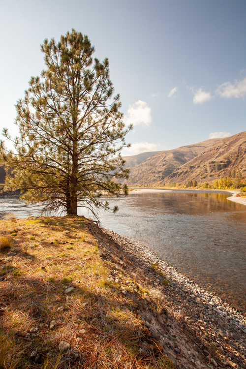 Sunny fall day on a rocky island