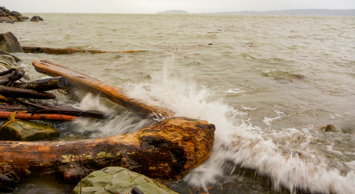 Rolling waves crash the shore