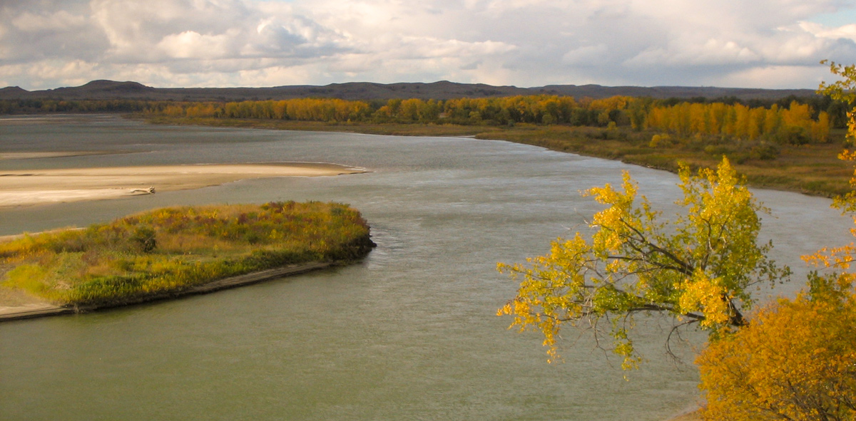 Sandbars cross the river surrounded by fall-colored cottonwoods