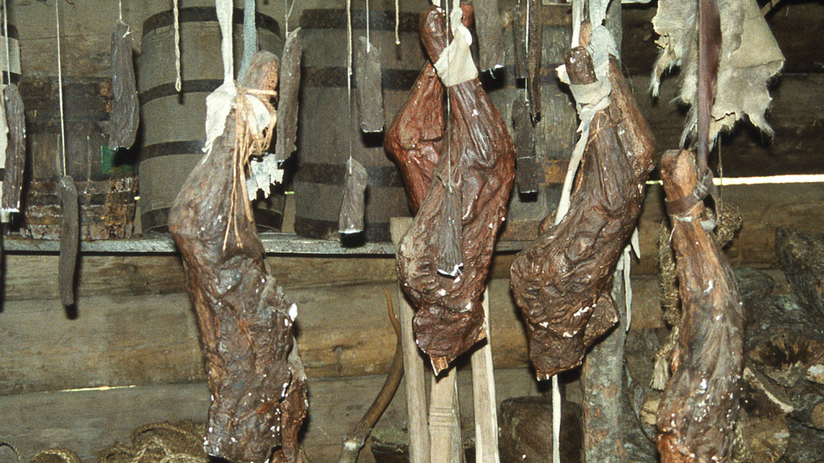 Hind and front quarters hanging in a cabin