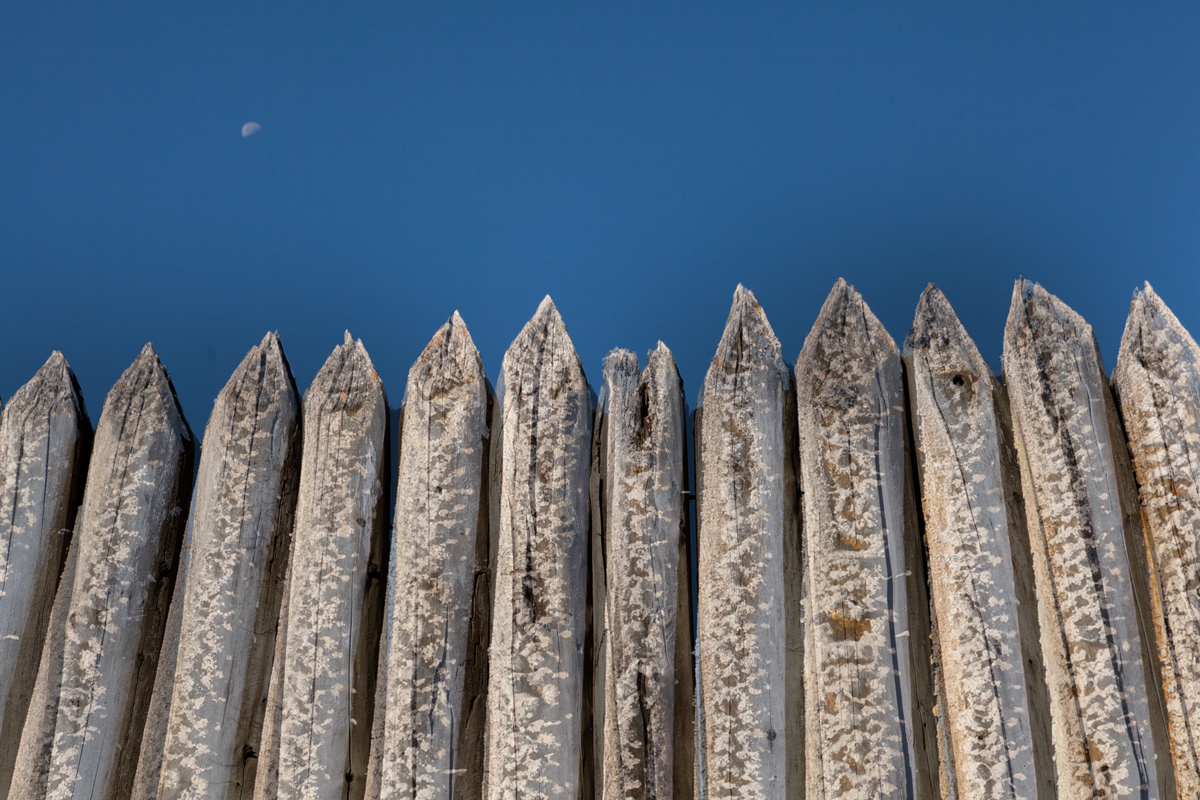 Frosty cottonwood logs with pointed ends forming a wall