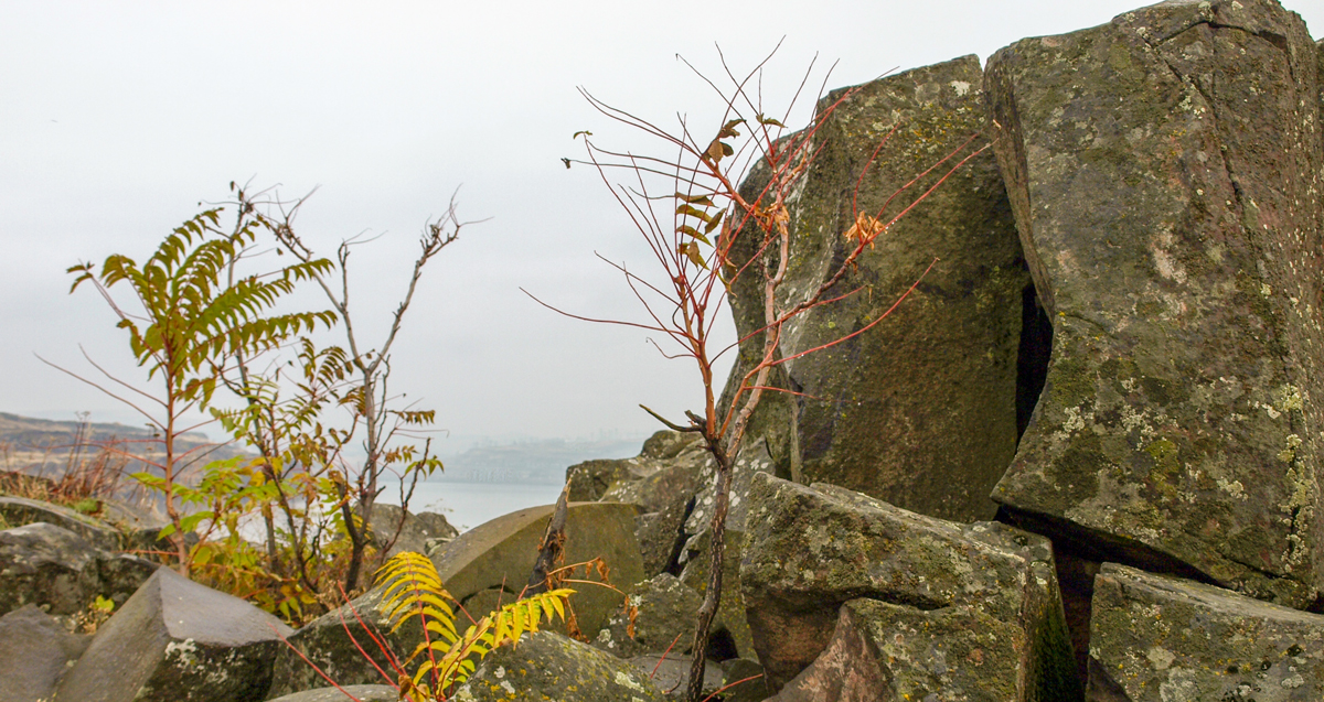 View of large basalt rocks and the a large river