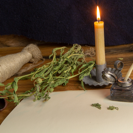 Small tobacco plant surrounded by journaling tools