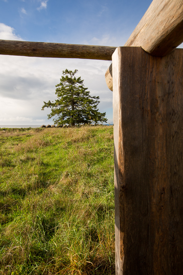 Frame of a Chinook Lodge and beach grass on a sunny day