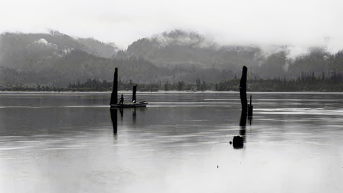 Stumps of large trees protrude from the river