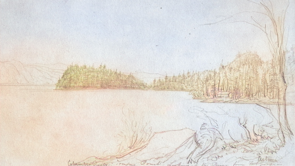 Point of land with thick woods