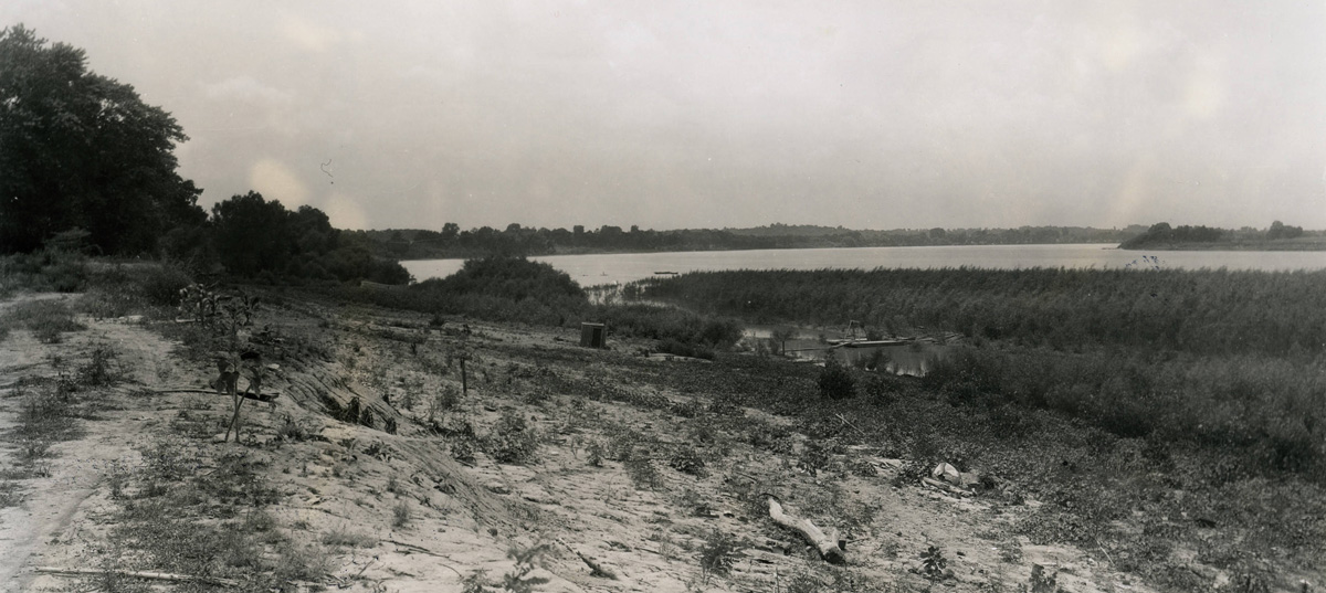 Old photo of sandy shores, giant cane, and a river