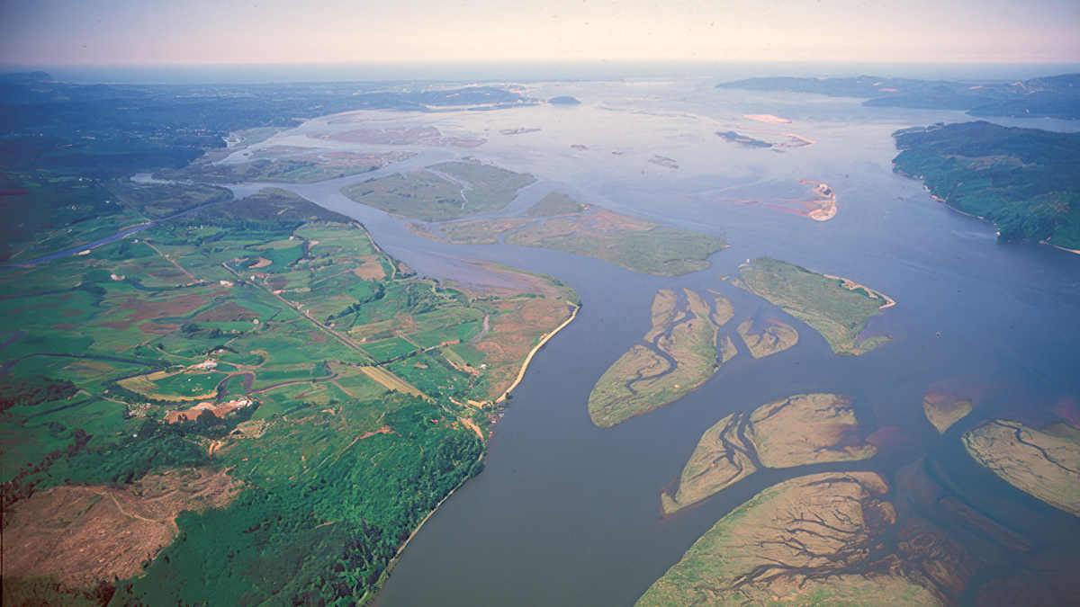 Aerial photo of the wide Columbia River with numerous islands